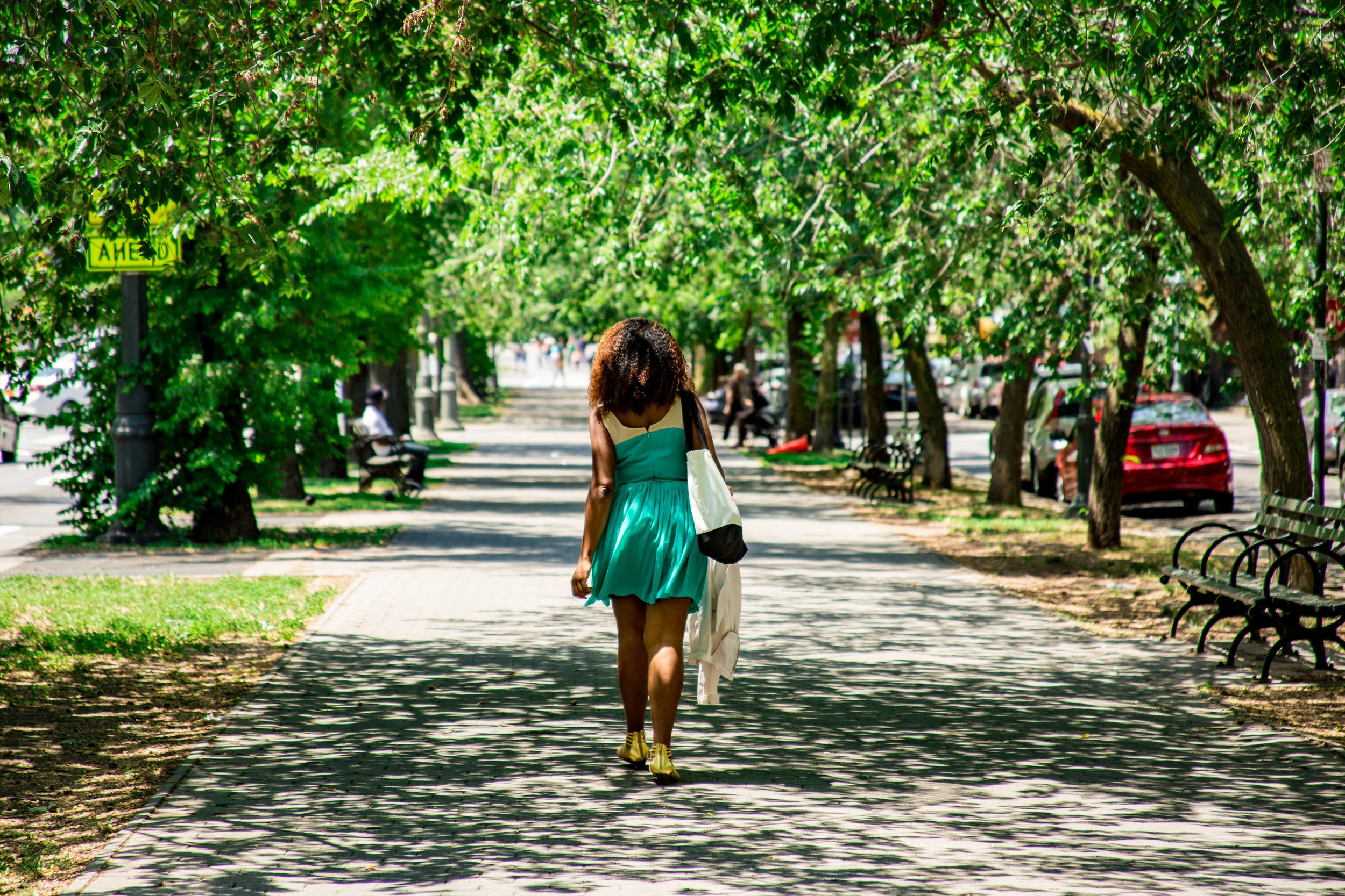 LSNY_Crown_Heights-25.jpg