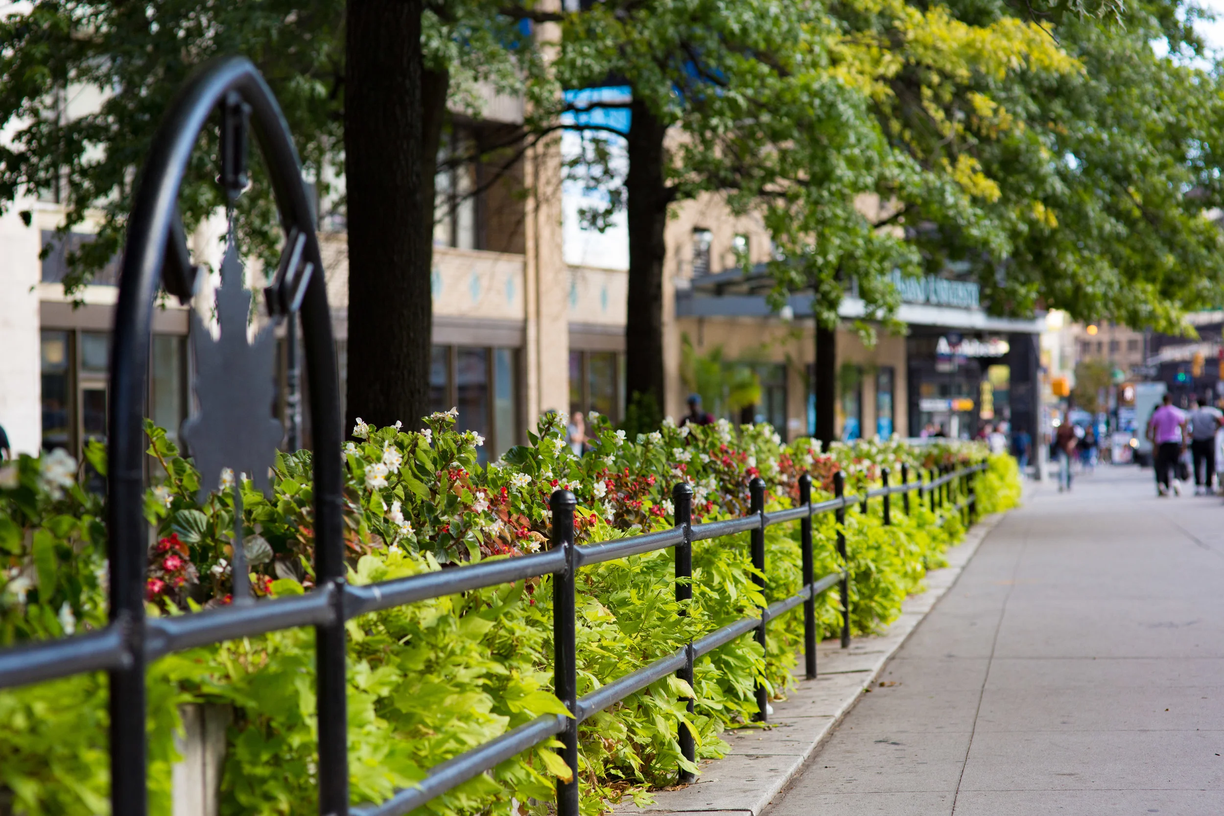 LSNY_Downtown_Brooklyn-35.jpg