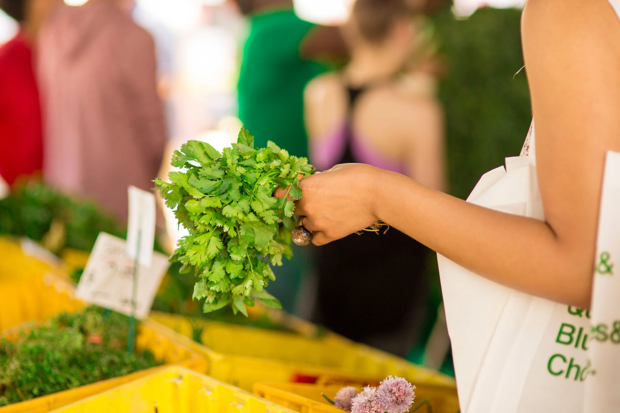 LSNY_Farmers_Market-33.jpg