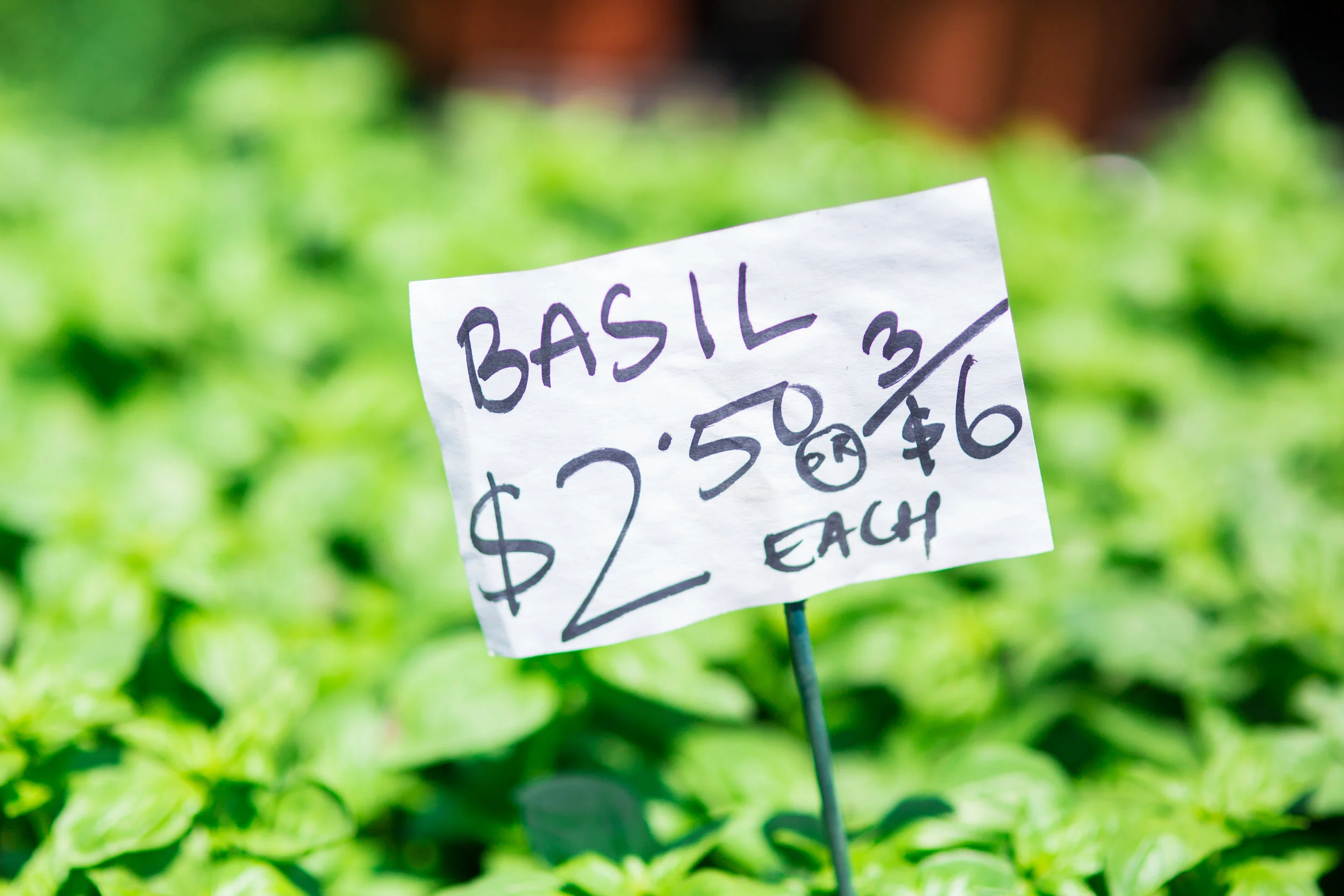 LSNY_Farmers_Market-39.jpg