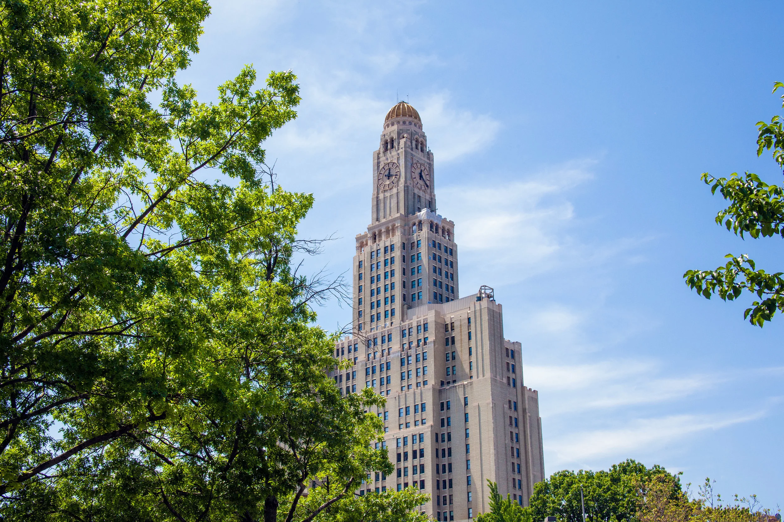 LSNY_Fort_Greene_Park-2.jpg