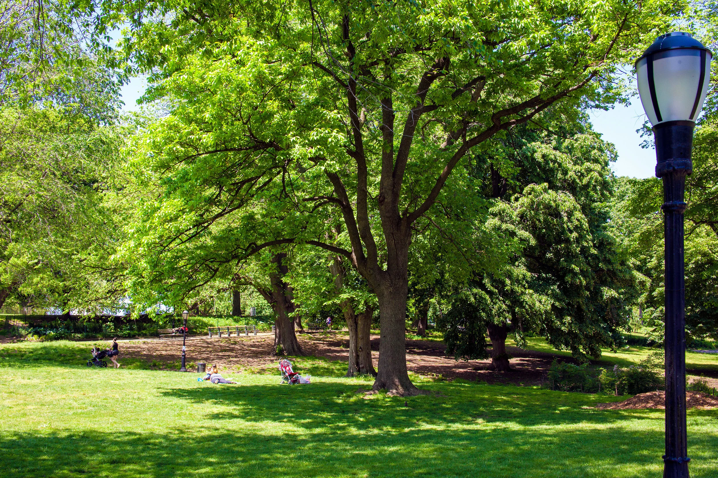 LSNY_Fort_Greene_Park-7.jpg