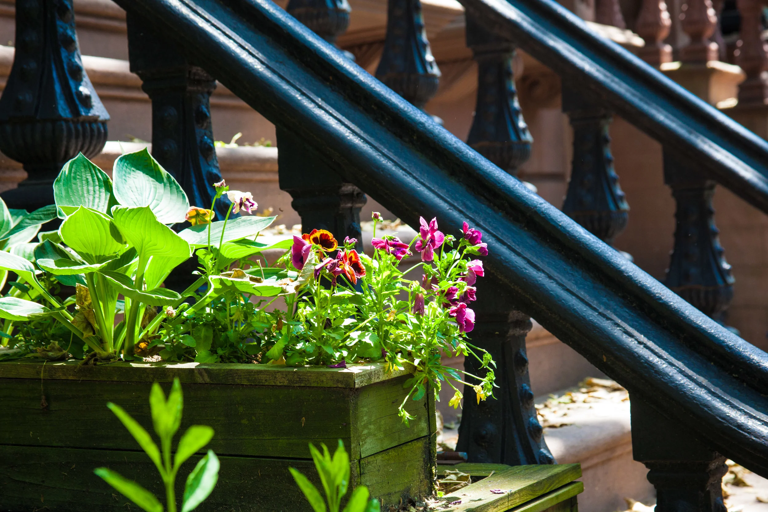 LSNY_Fort_Greene_Park-12.jpg