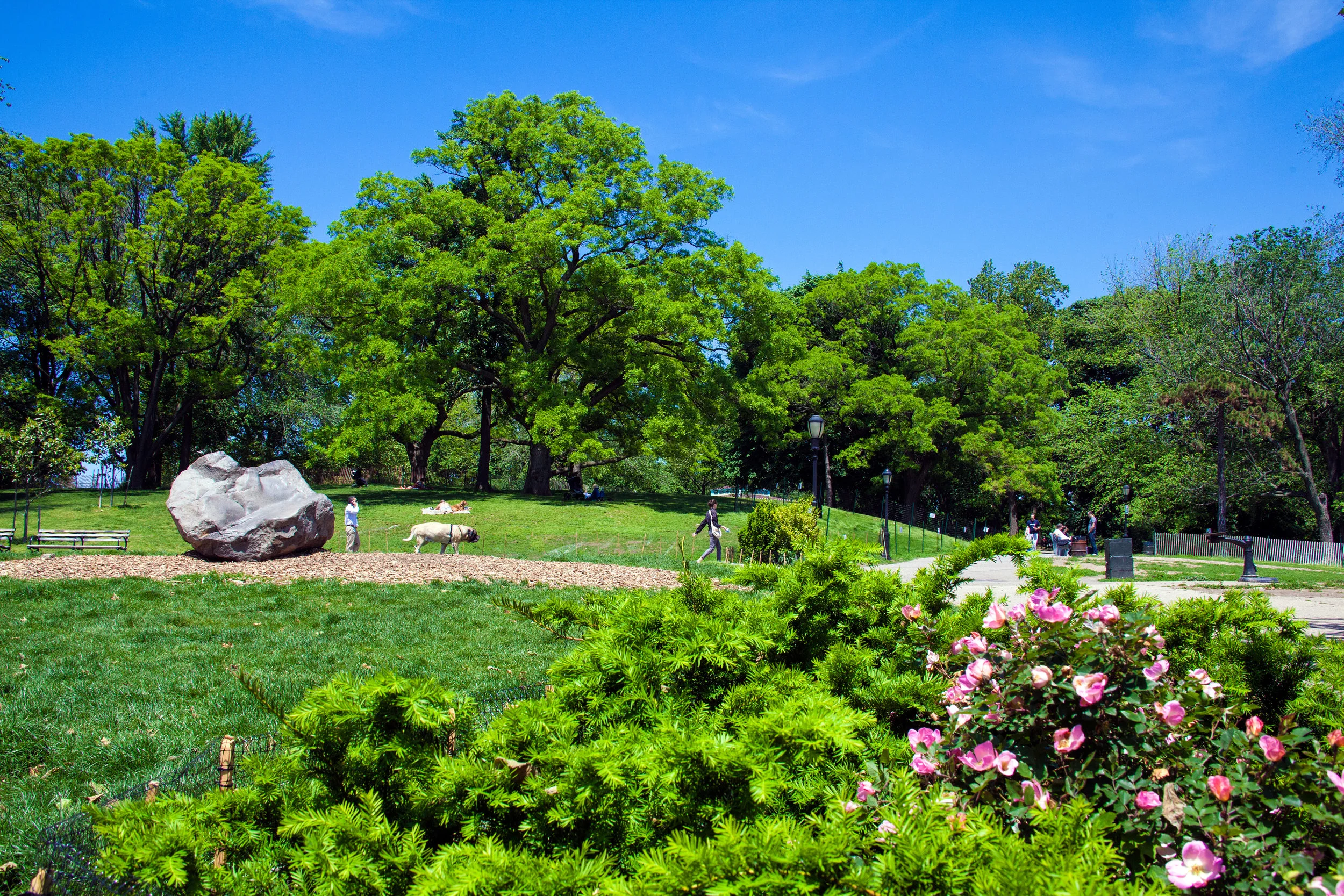 LSNY_Fort_Greene_Park-22.jpg