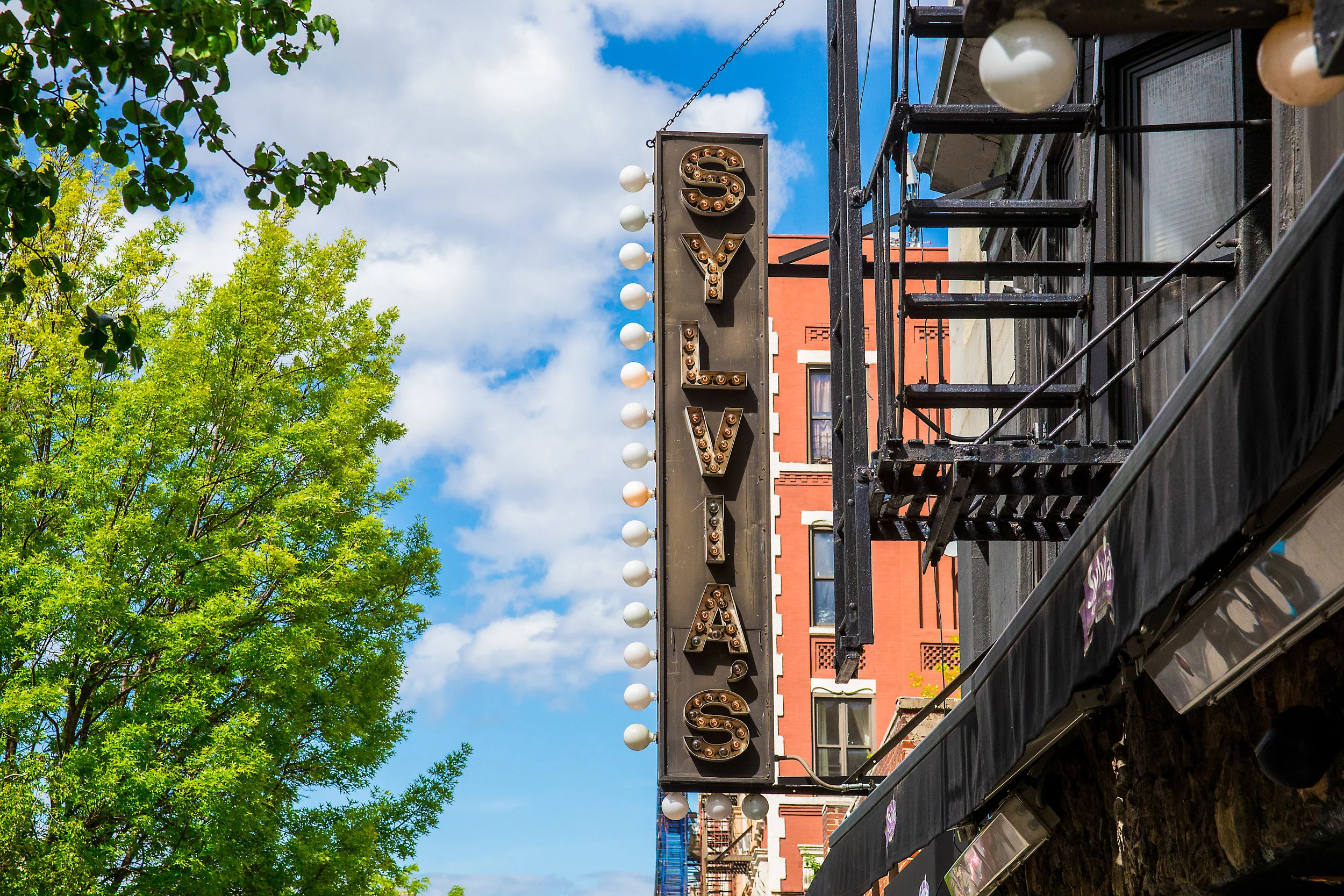LSNY_Harlem-6.jpg