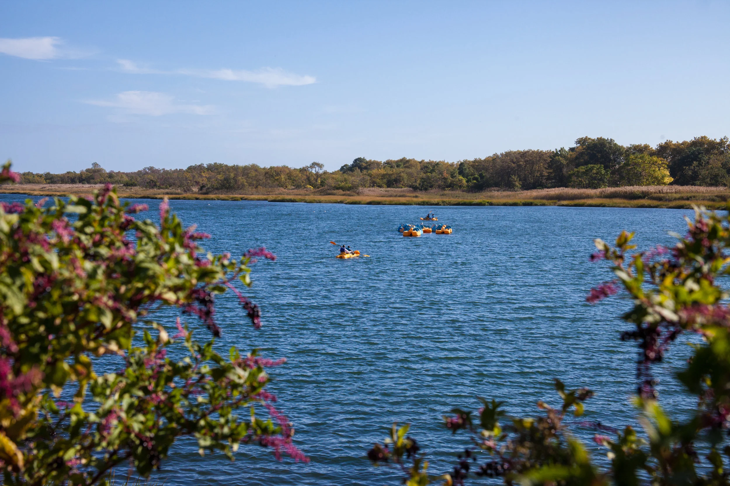 Lets_See_NY_Nature_Center-1.jpg
