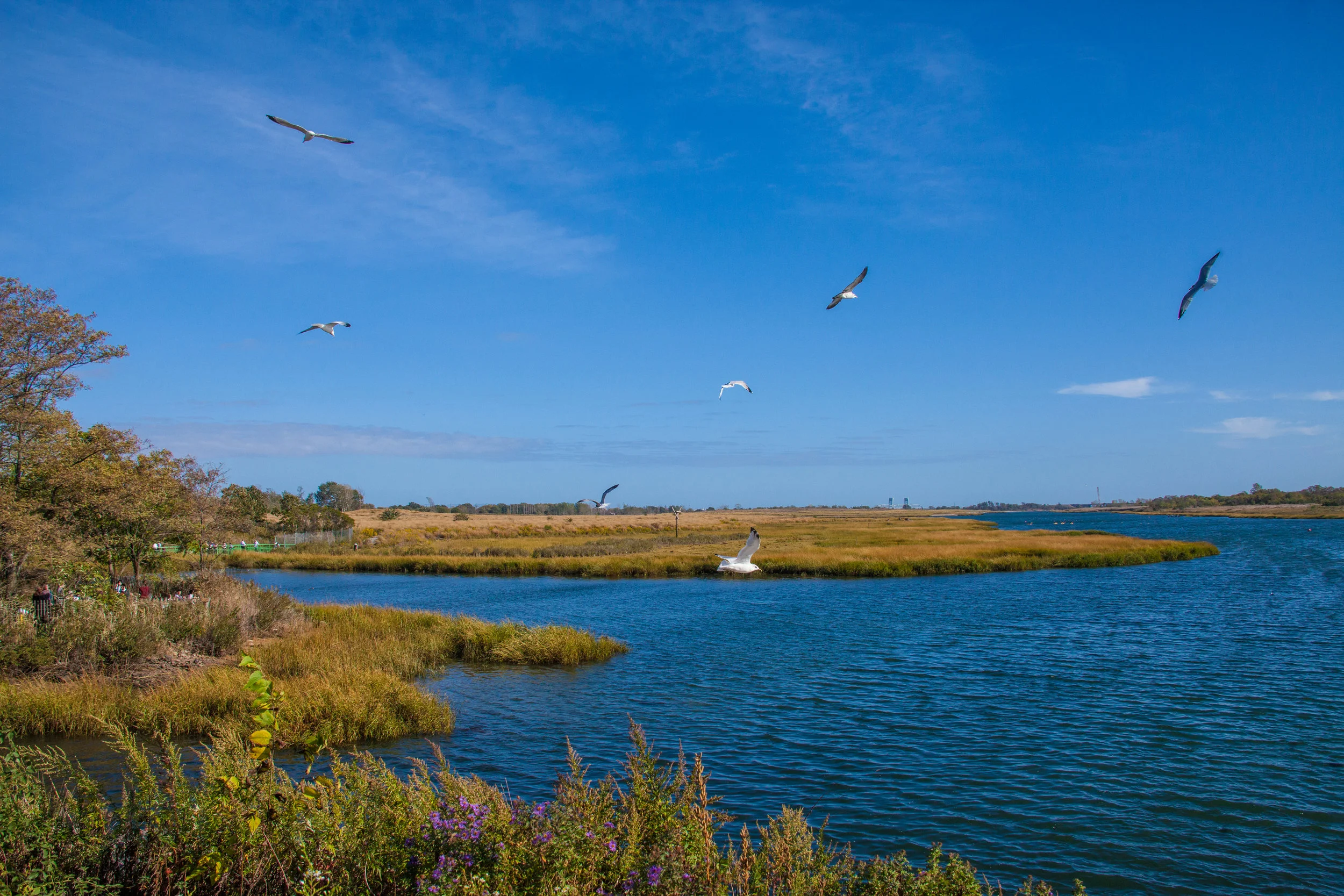 Lets_See_NY_Nature_Center-5.jpg