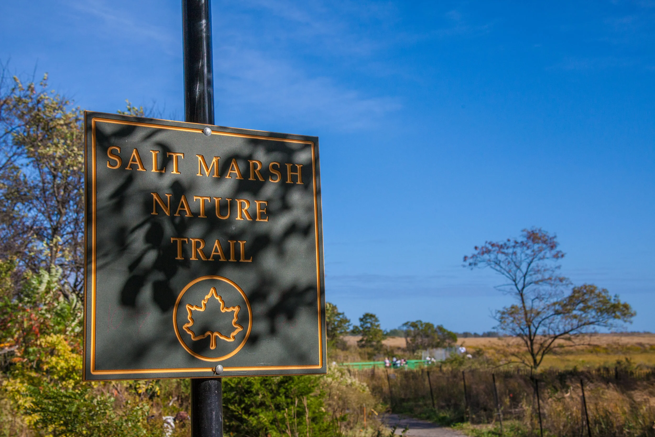 Lets_See_NY_Nature_Center-8.jpg