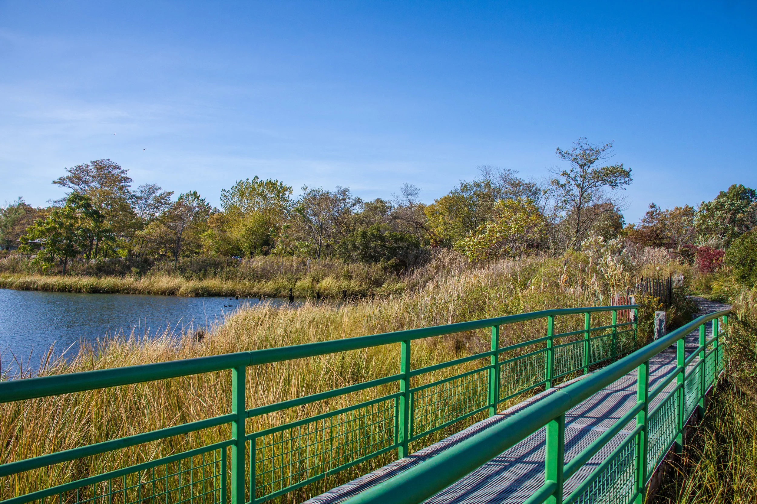 Lets_See_NY_Nature_Center-12.jpg
