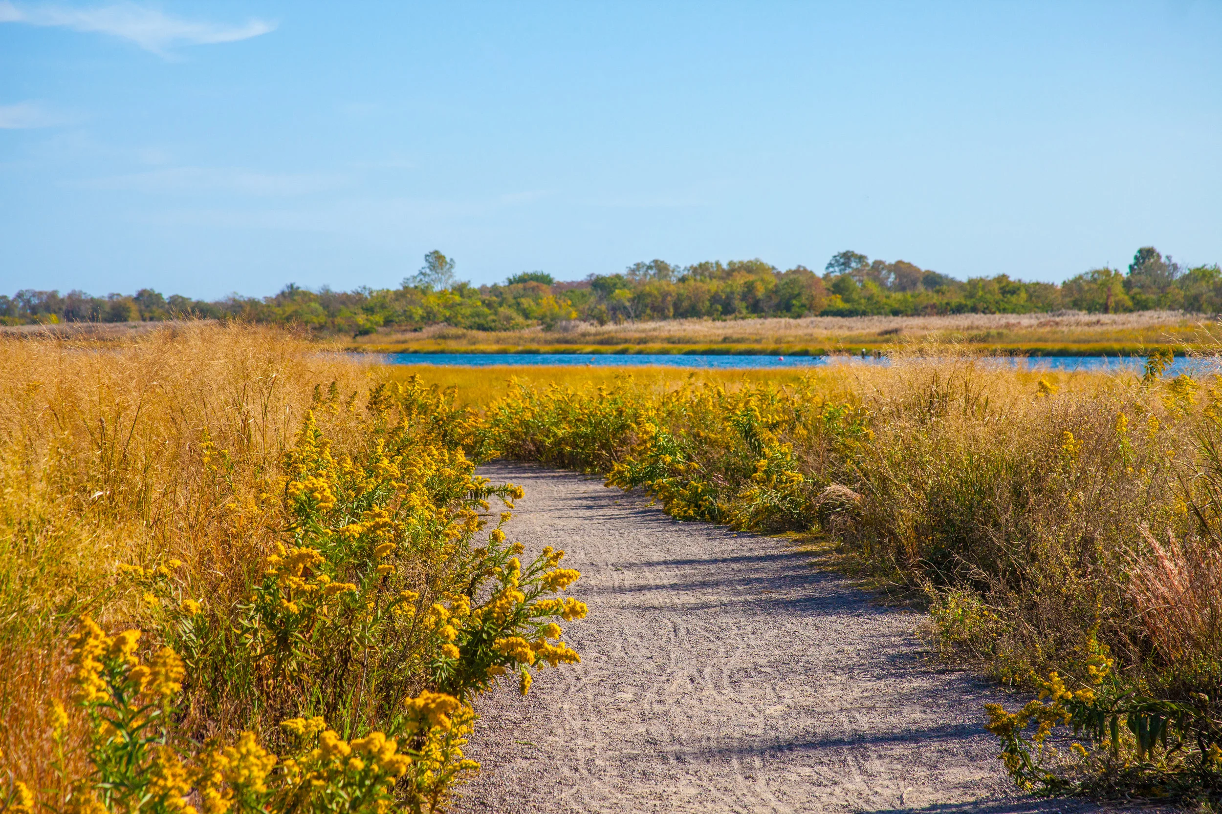 Lets_See_NY_Nature_Center-16.jpg