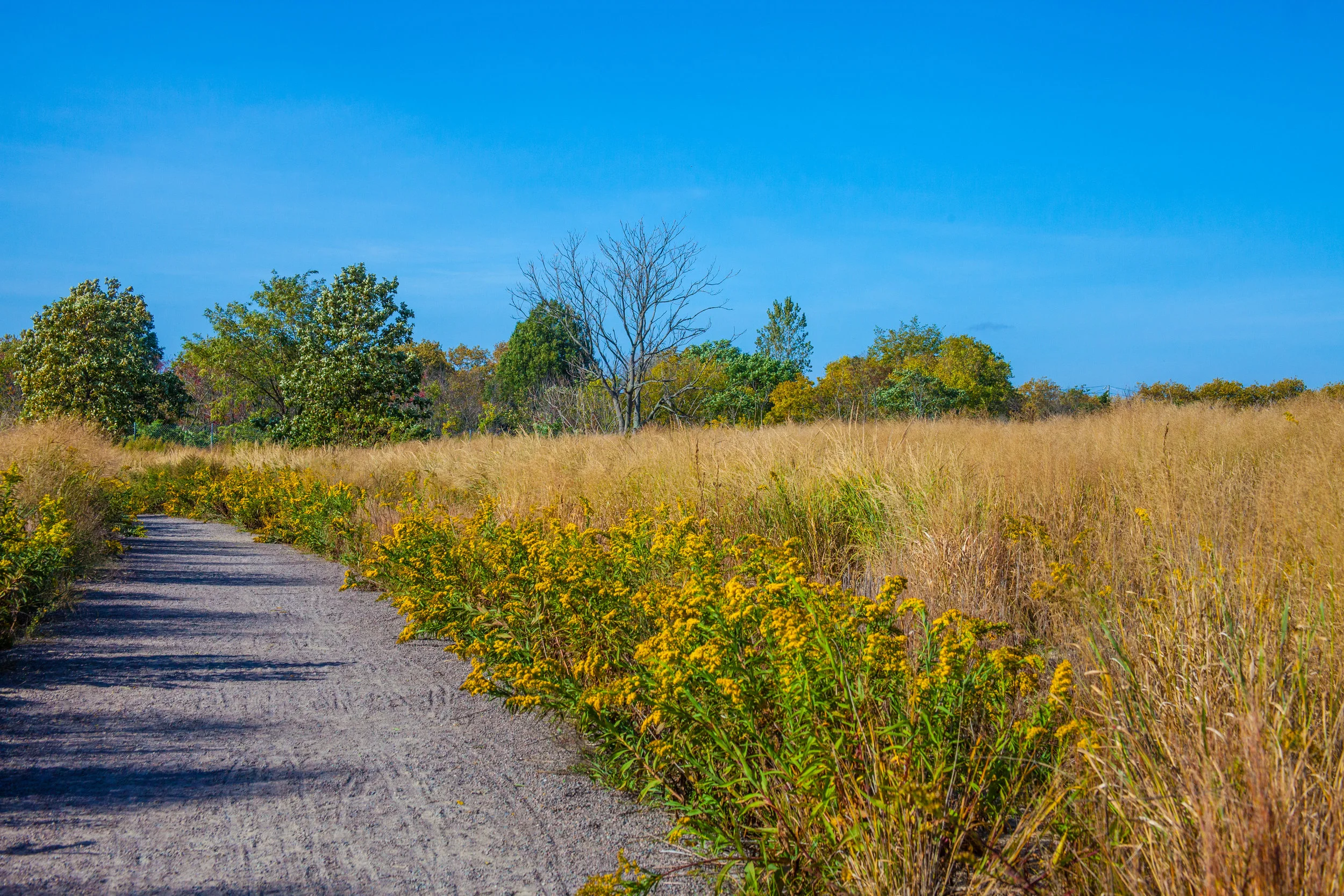 Lets_See_NY_Nature_Center-17.jpg