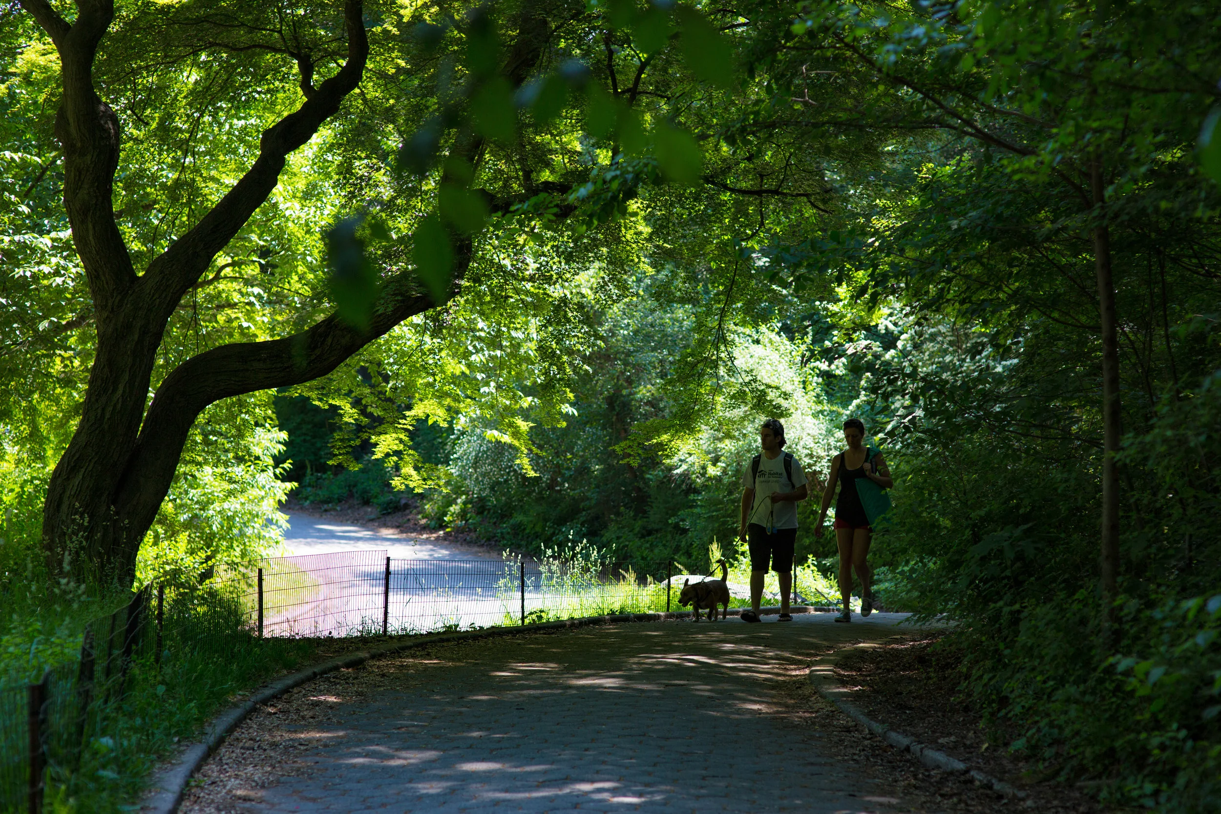 LSNY_Park_Day-19.jpg