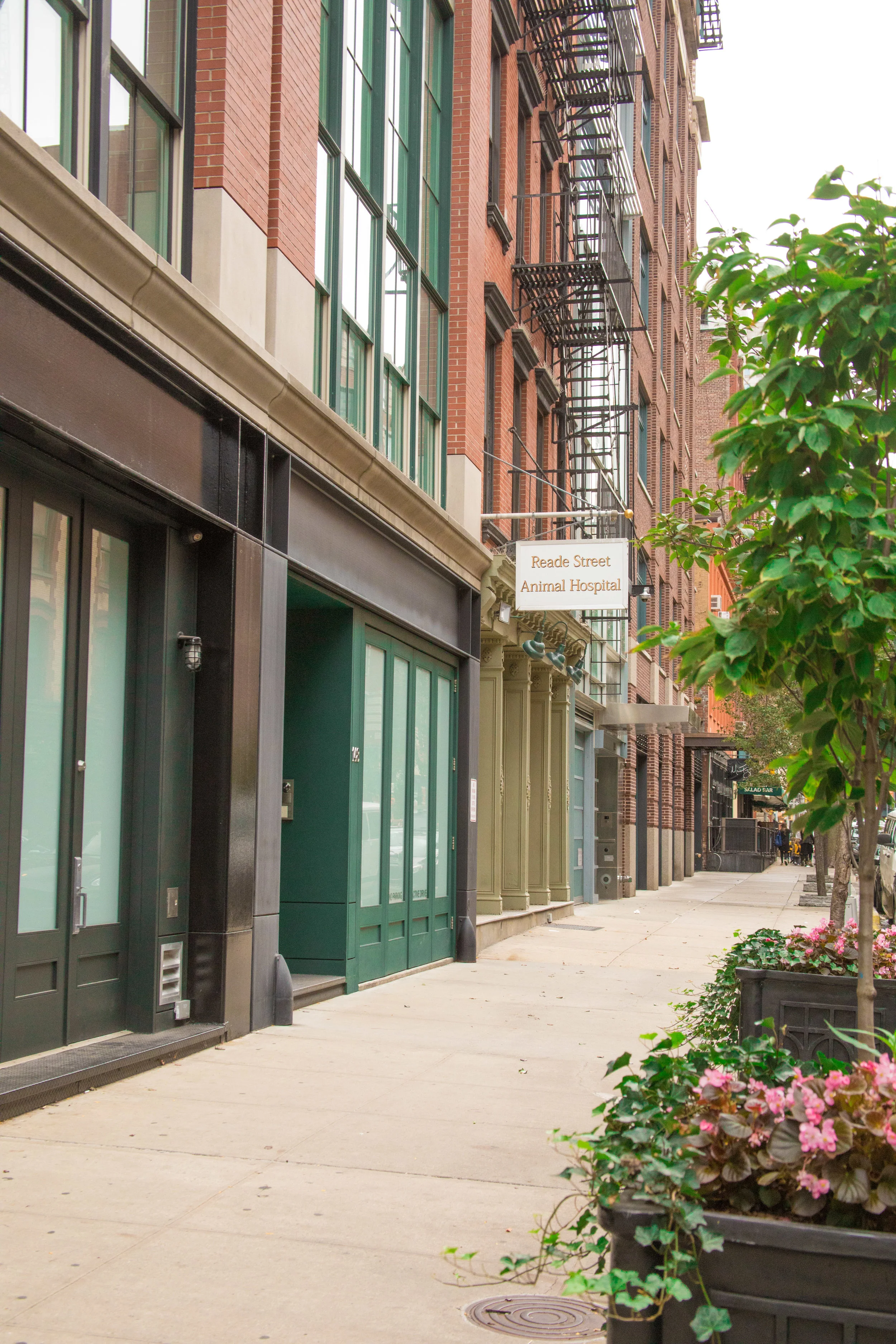 LSNY_Tribeca-33.jpg