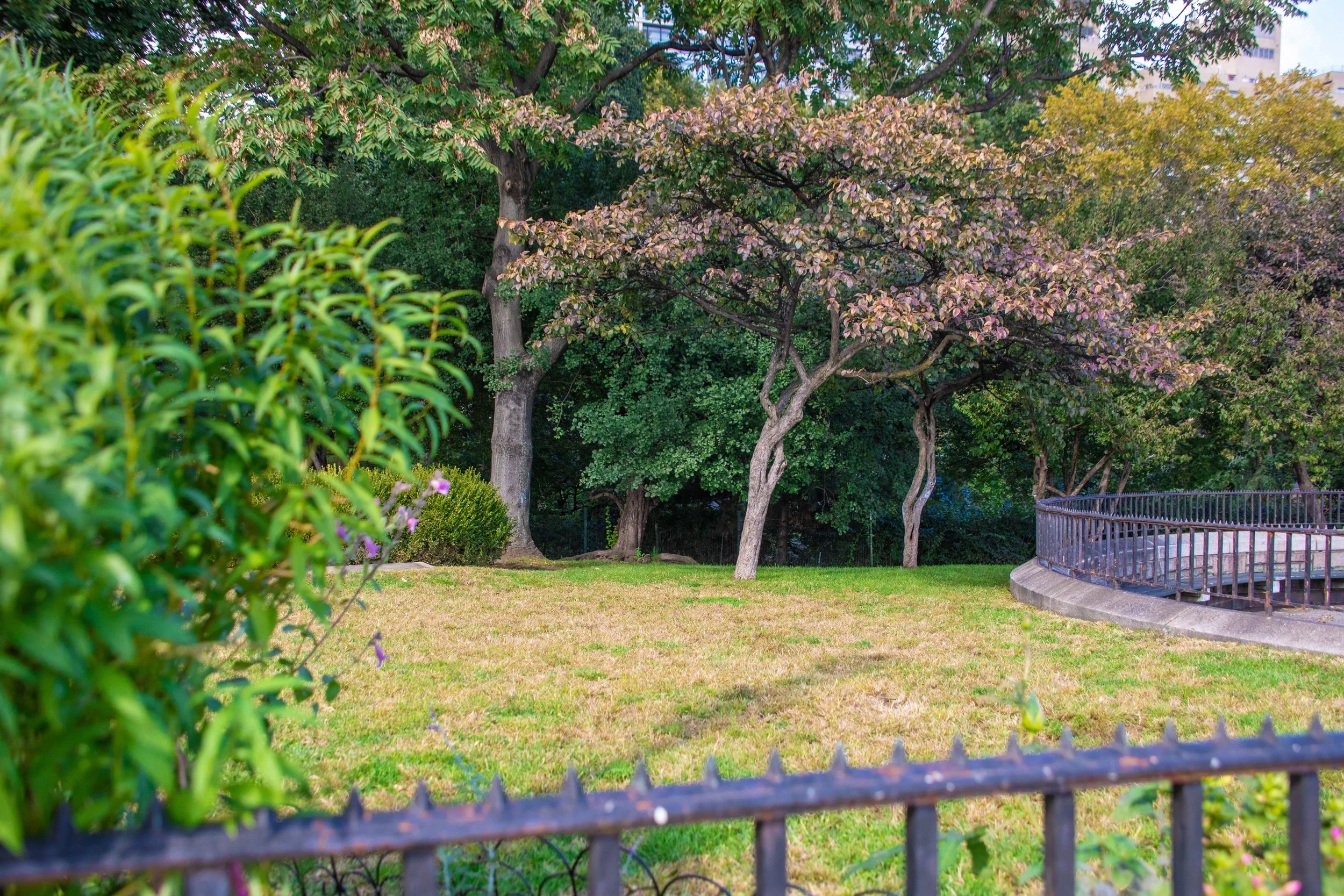 LSNY-Upper-East-Side-48.jpg