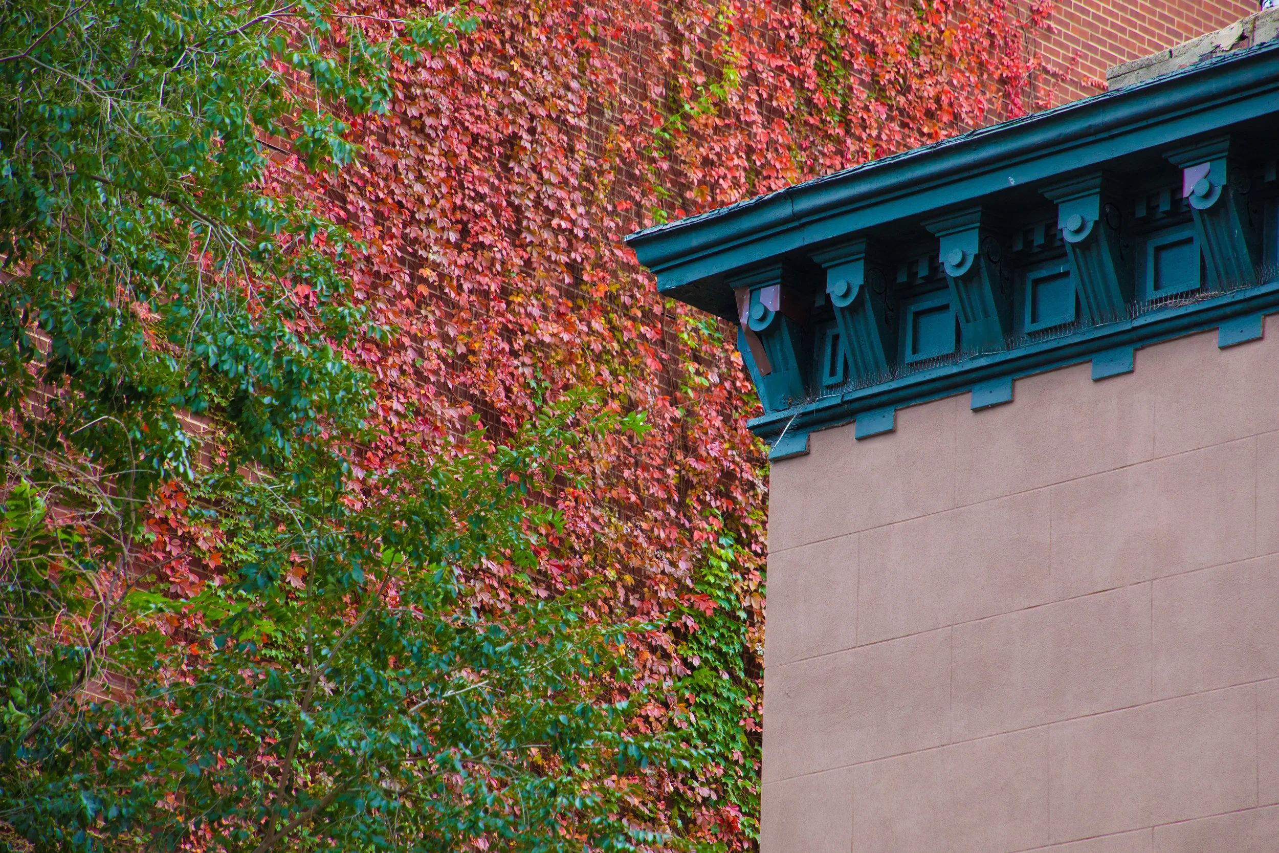 LSNY-Upper-East-Side-72.jpg