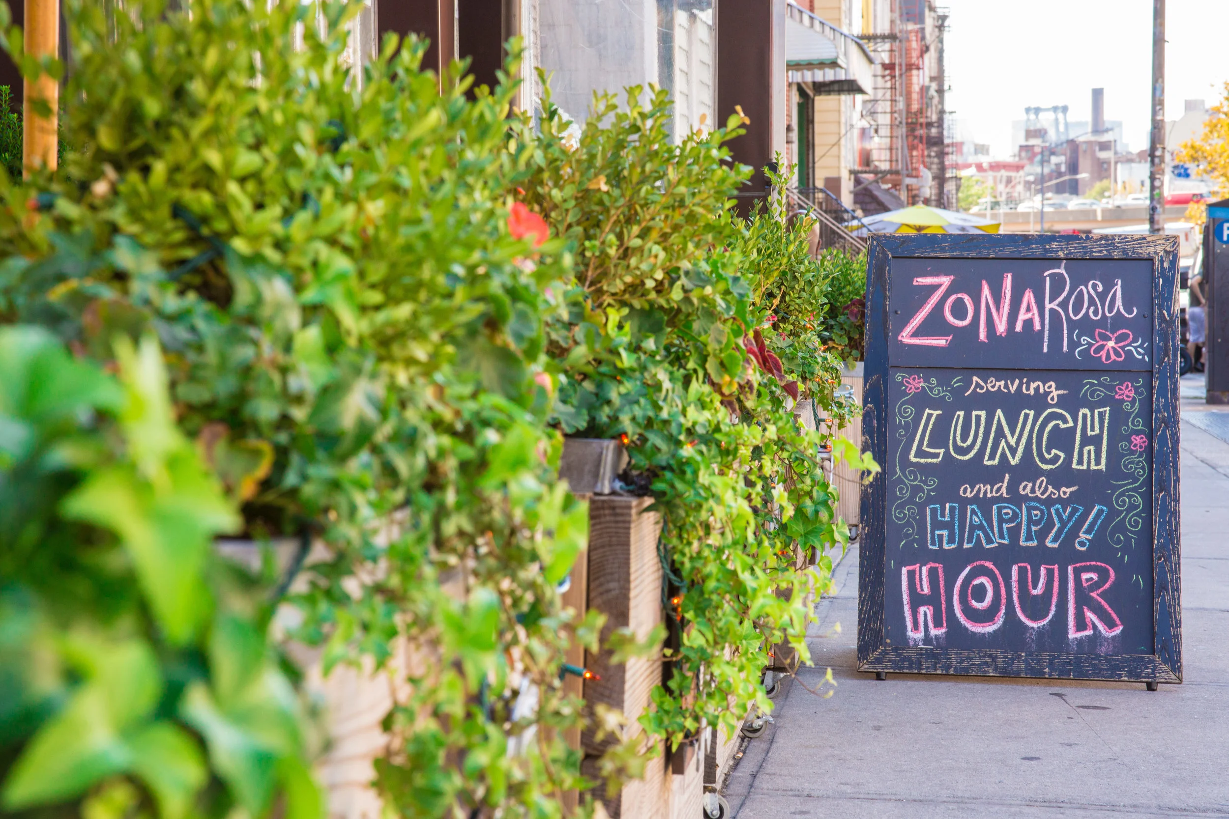 LSNY_Williamsburg_2-18.jpg