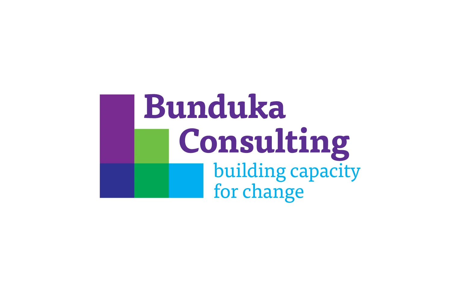 Bunduka Consulting logo