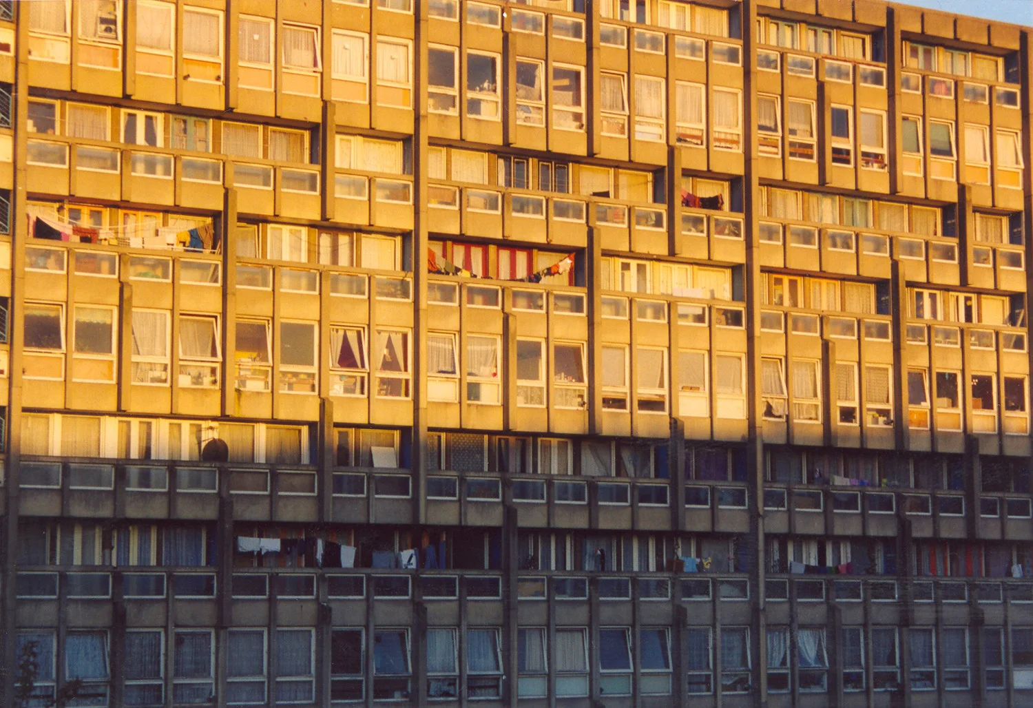 Sunlight On A Council Estate, Samina Mishra