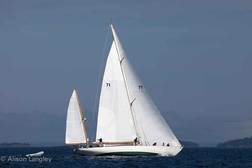 17025_0145.jpg