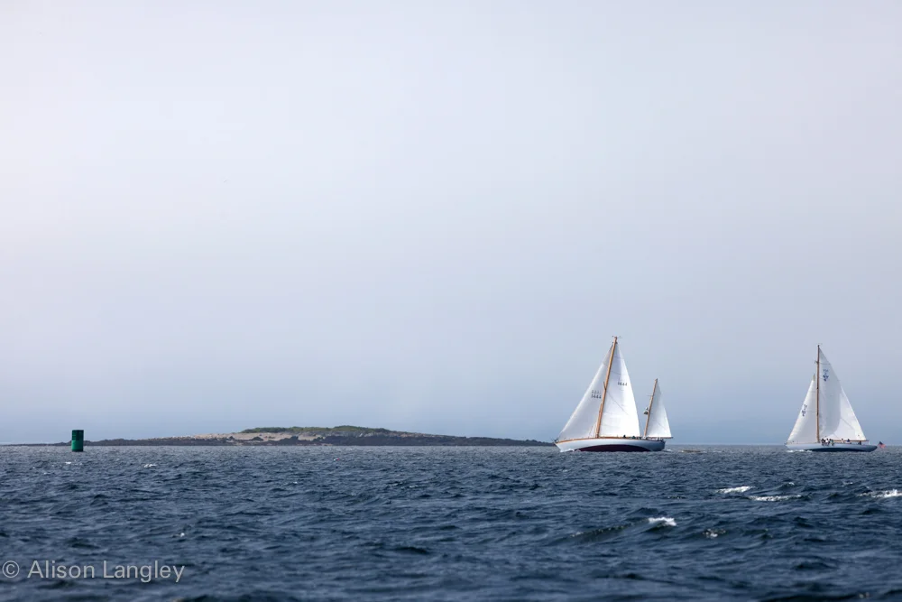 17025_0192.jpg