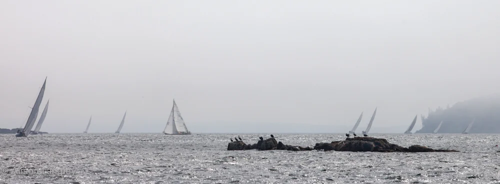 17025_0218.jpg
