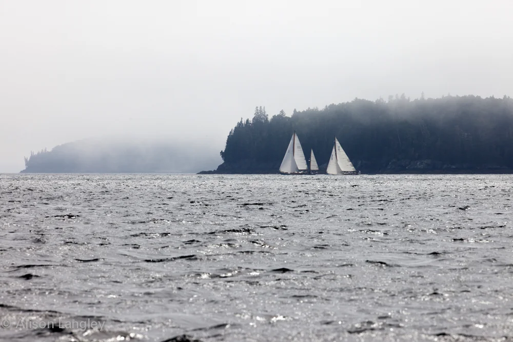 17025_0227.jpg