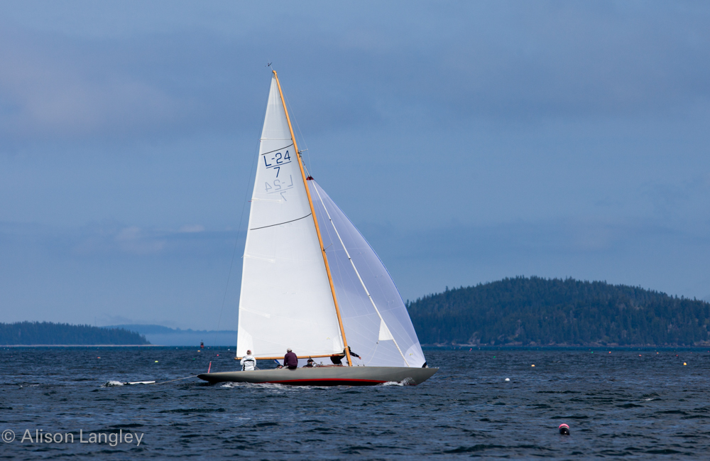 17026_0338.jpg