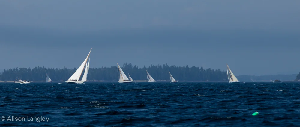 17025_0136.jpg
