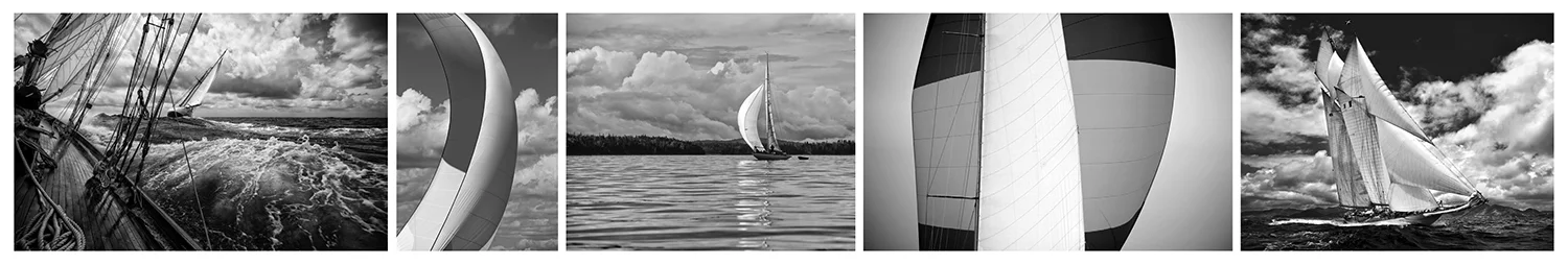 Alison Langley Fine Art 2016 bw grid.jpg