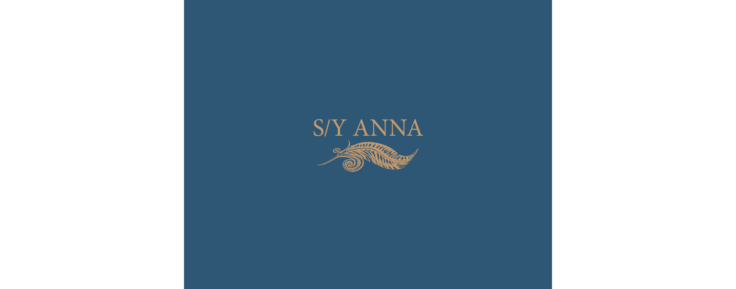 ANNA_BOOK_COVER_11apr19.jpg