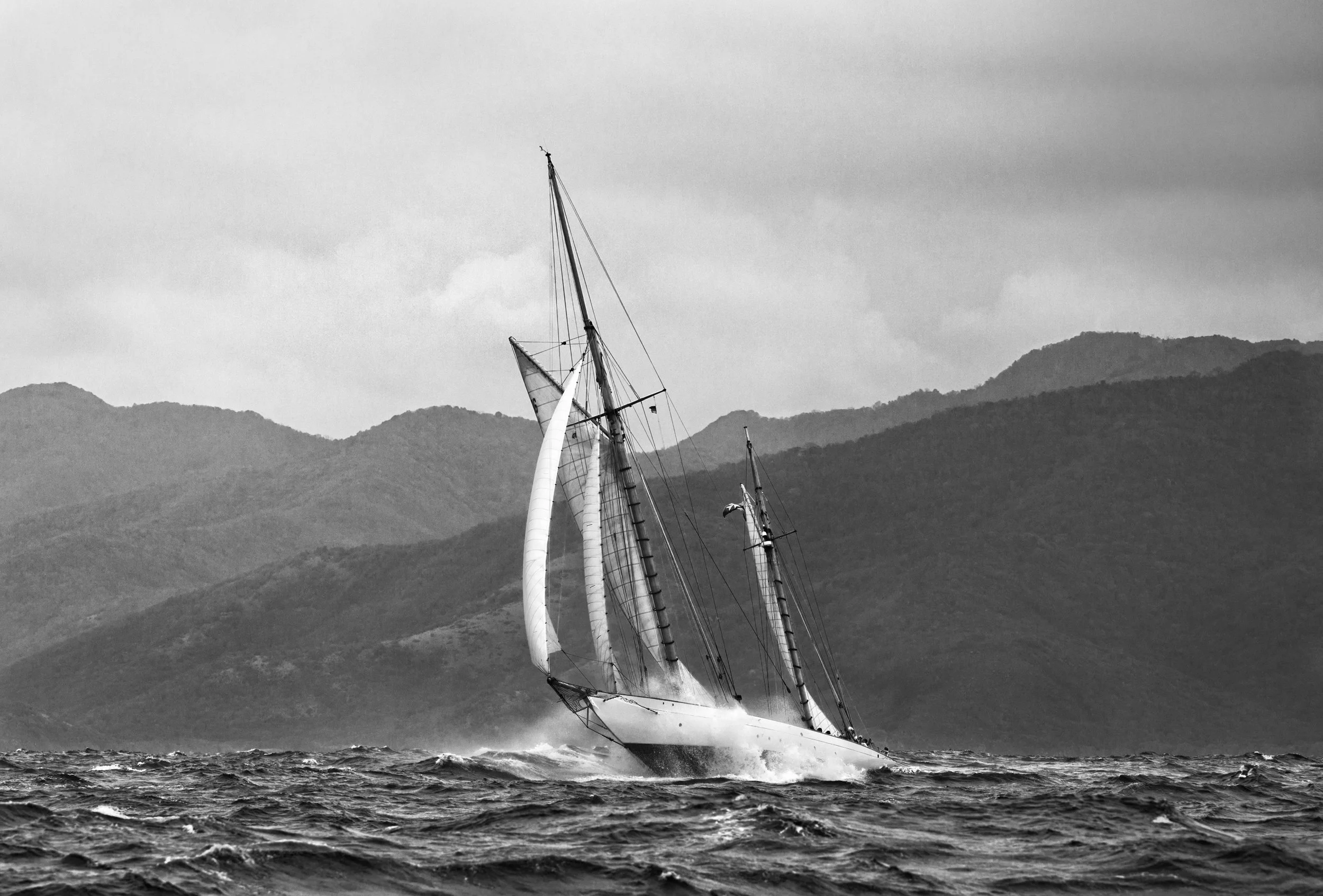 13017_2308.jpg