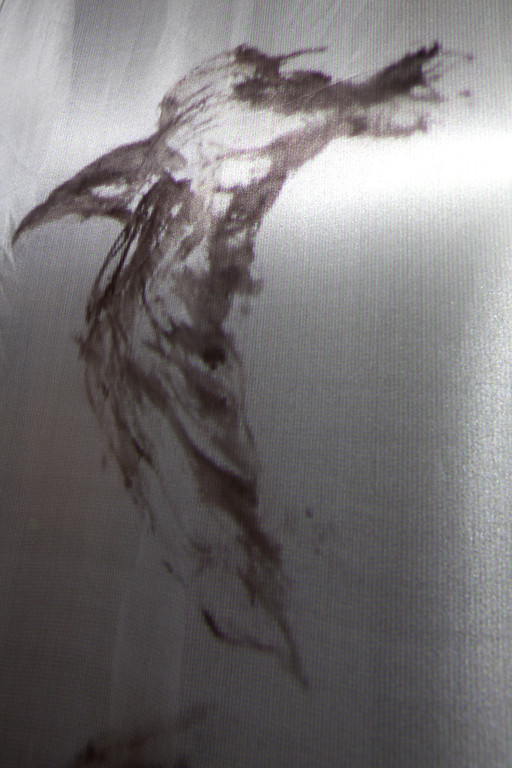 bird detail.jpg