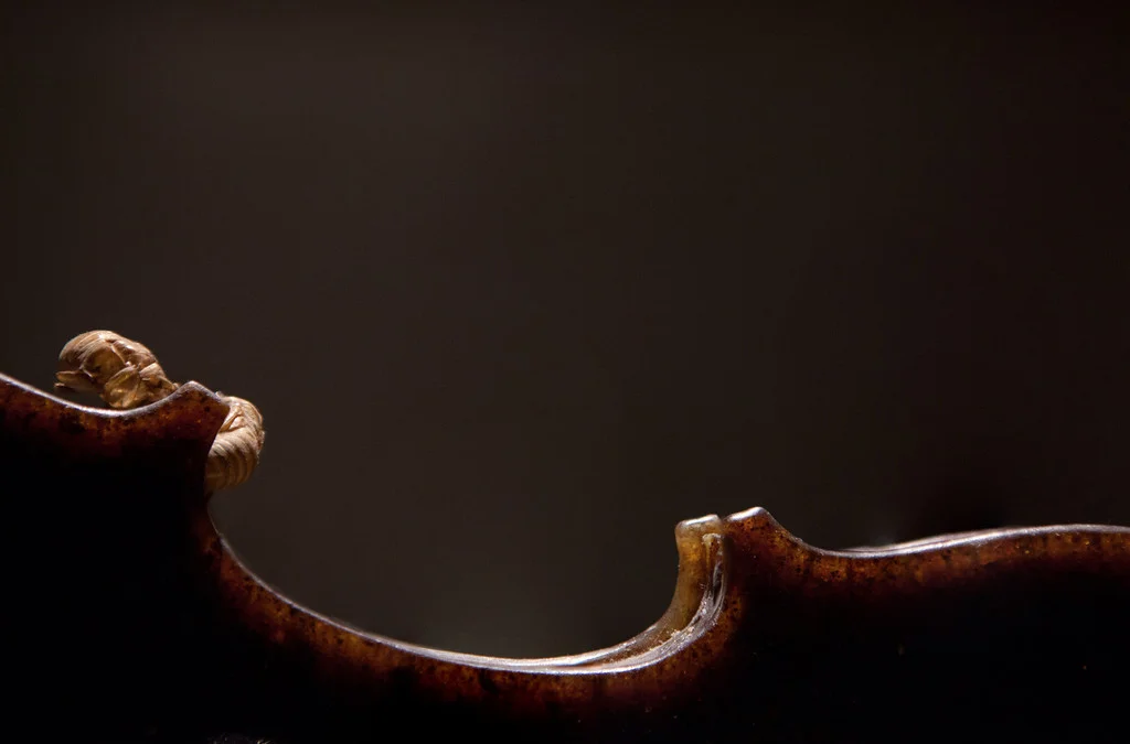 contour of violin.jpg