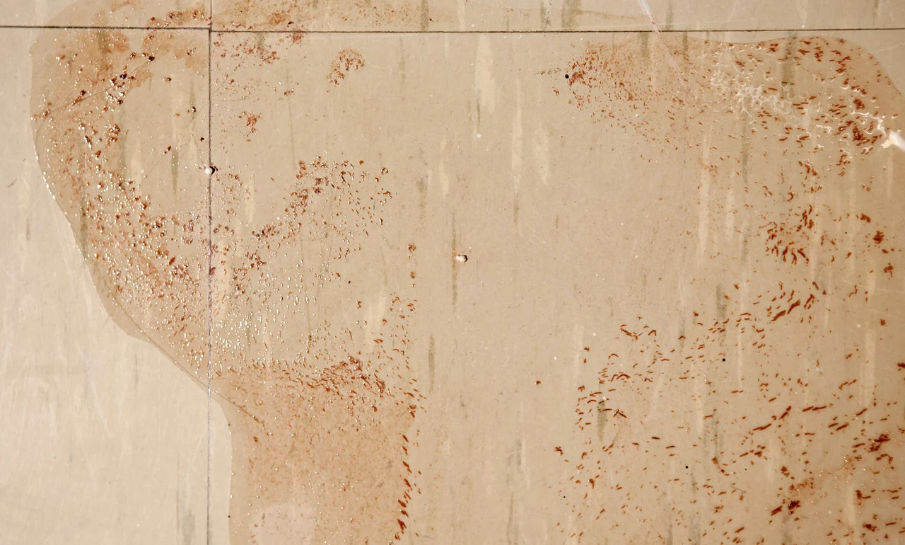 stain.jpg