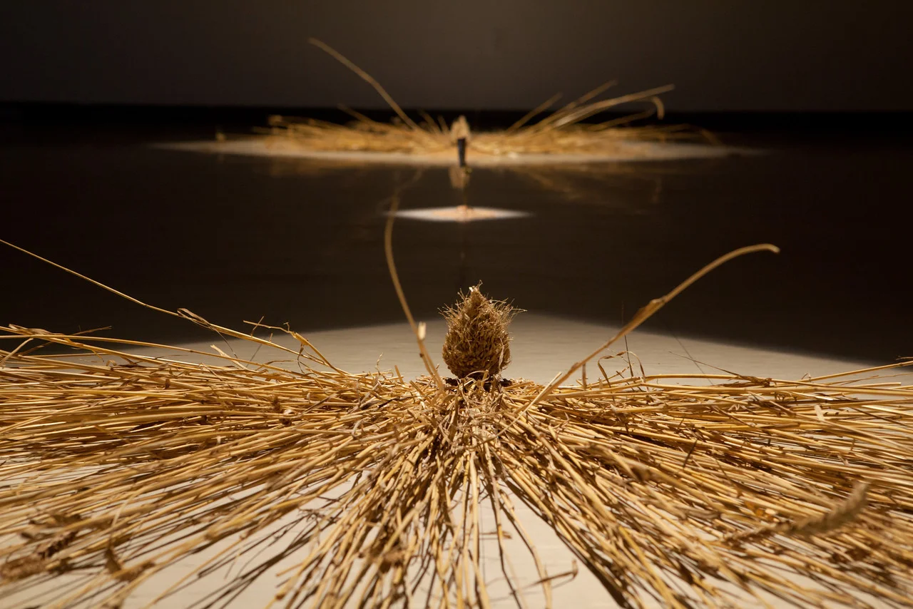 pear shot from other pear.jpg