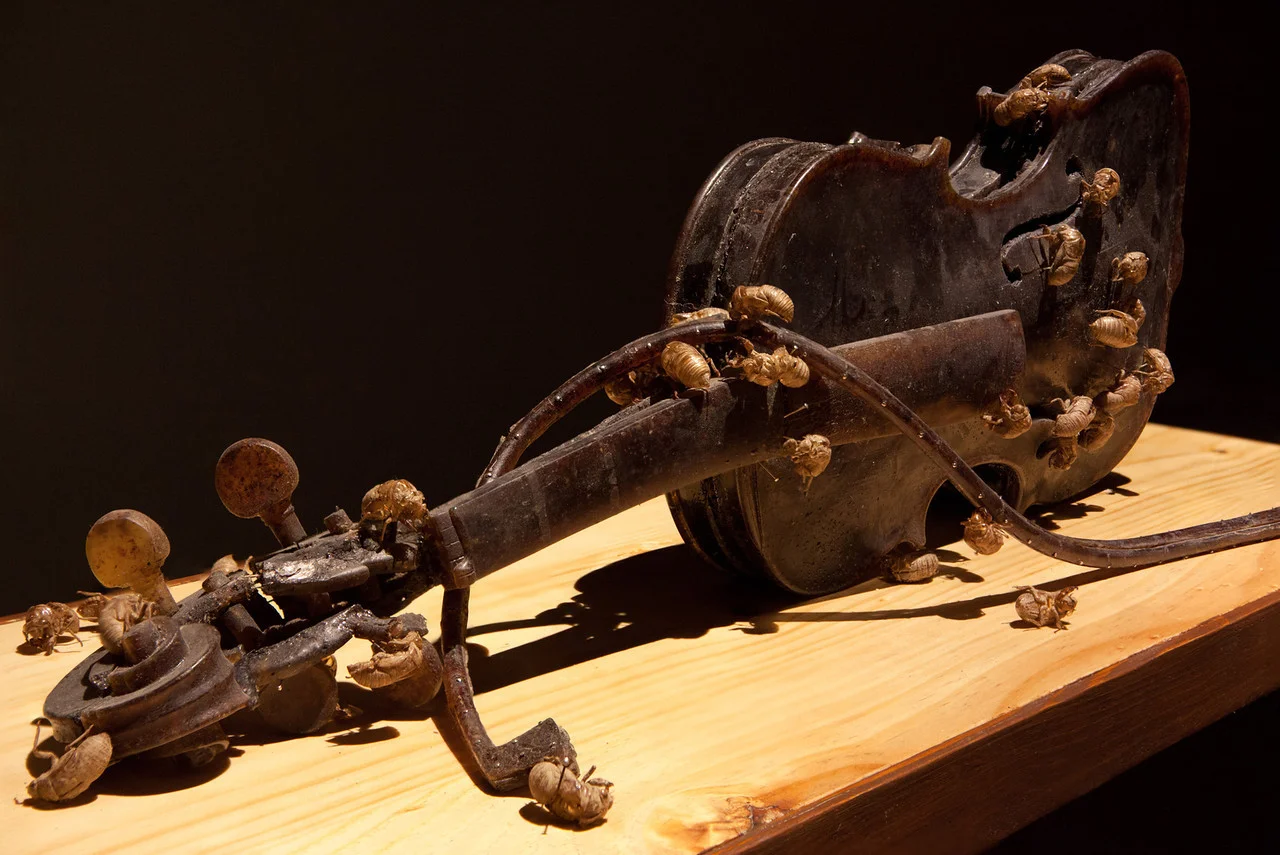 violin close up at angle.jpg