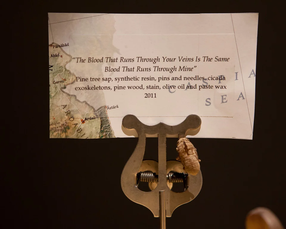 violin tag.jpg