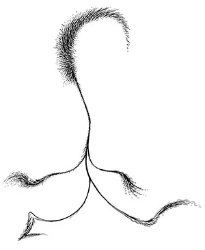 drawing5.jpg