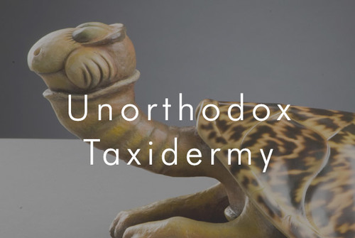 Collection of Unorthodox Taxidermy — The Art of Dr. Seuss Collection,  Published by Chaseart Companies