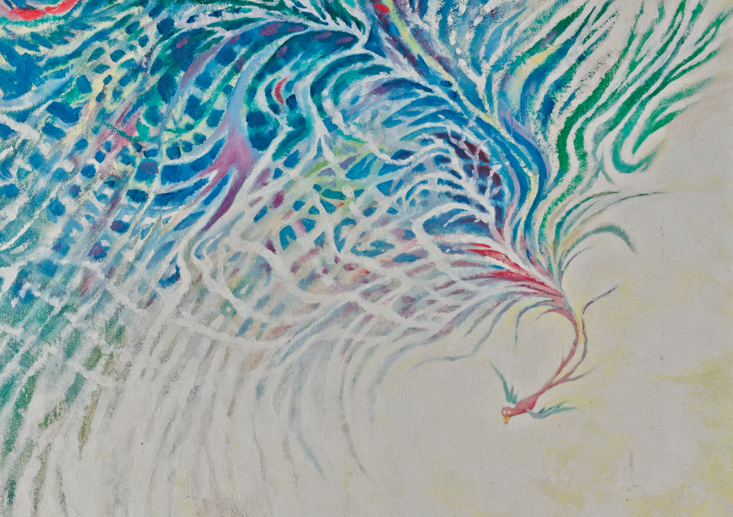 Small Bird Lots Feathers Web Banner Hero.png