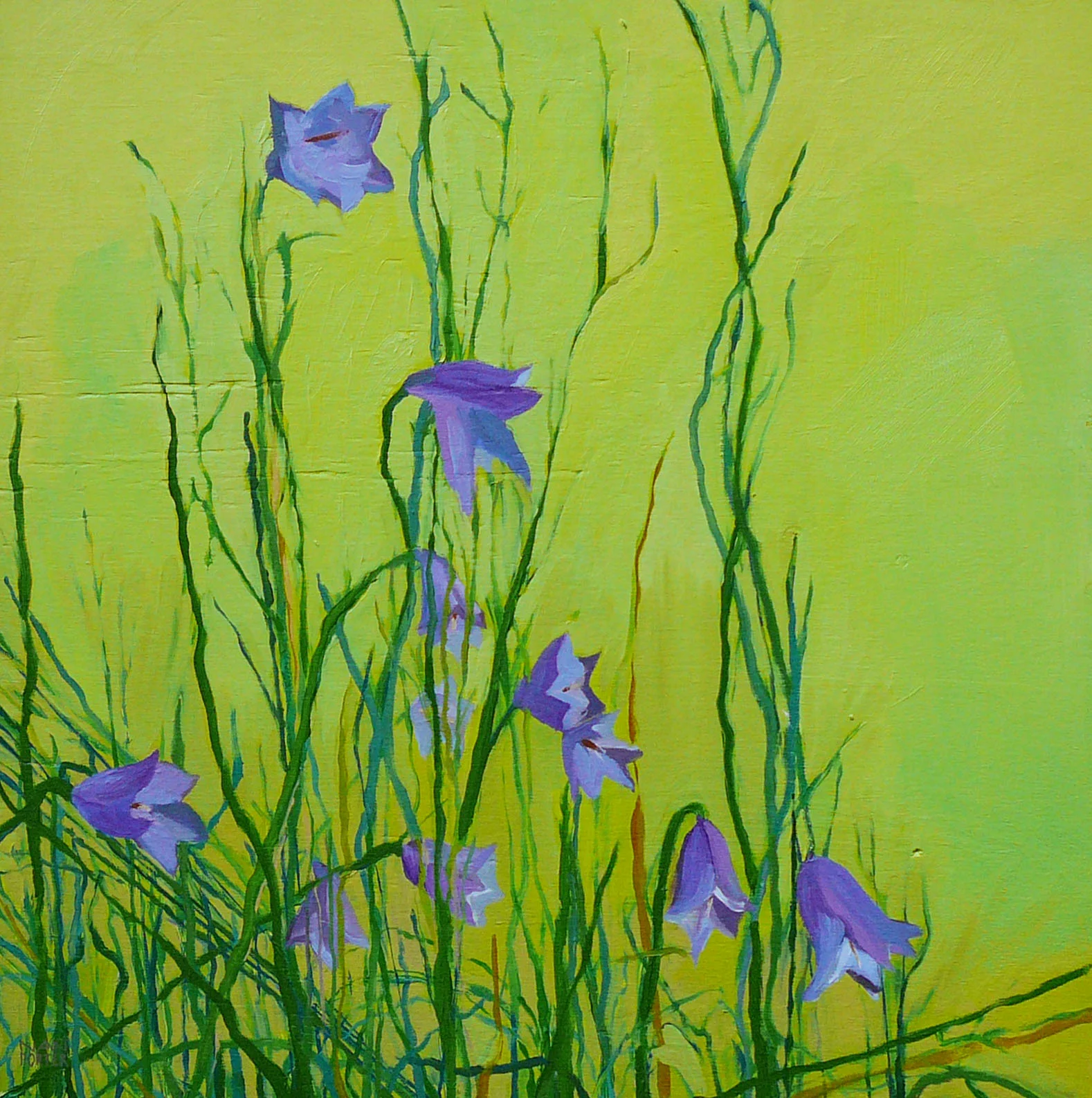 surface_study2.jpg