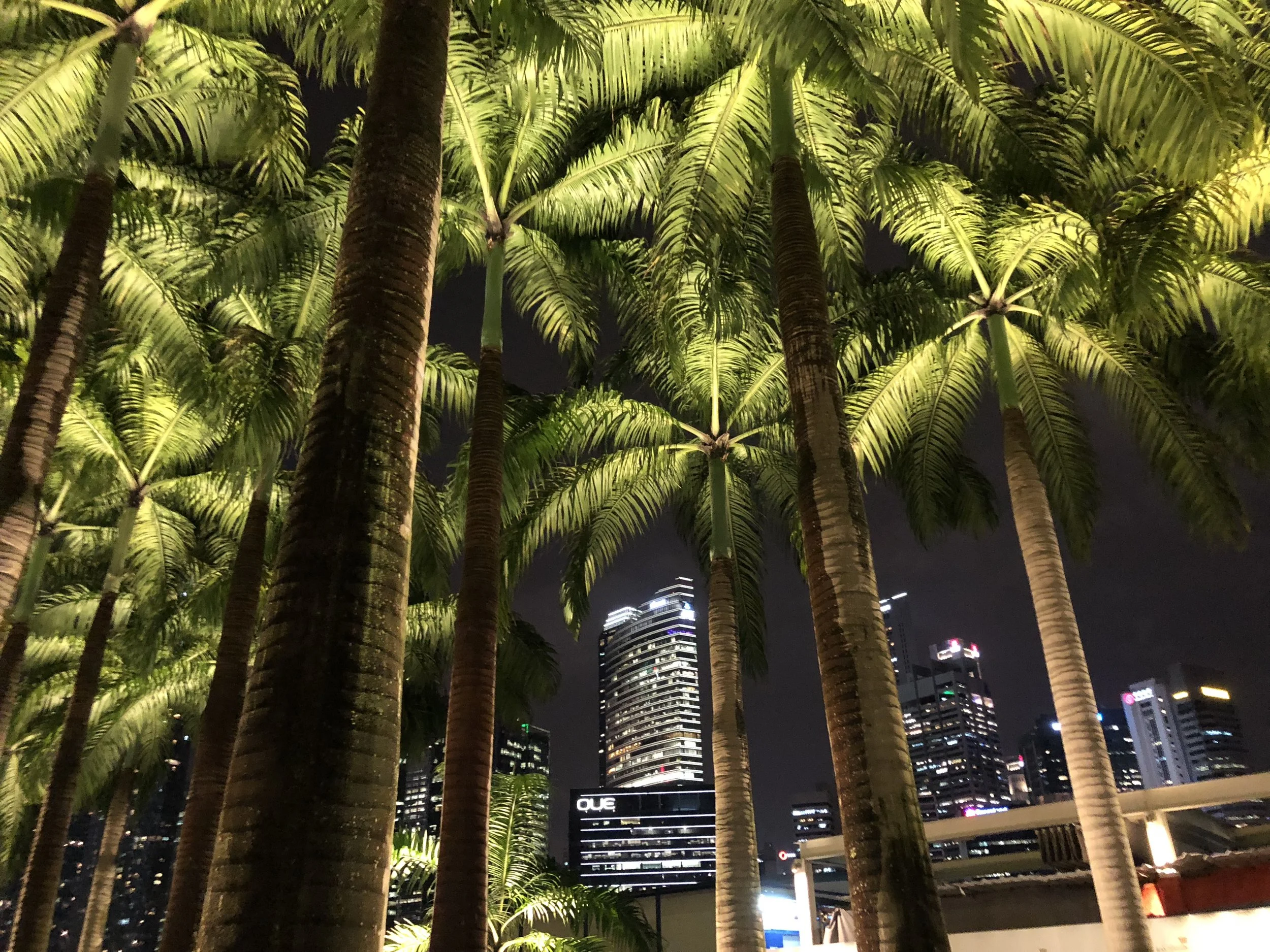 Three Roaring Days in the Lion City