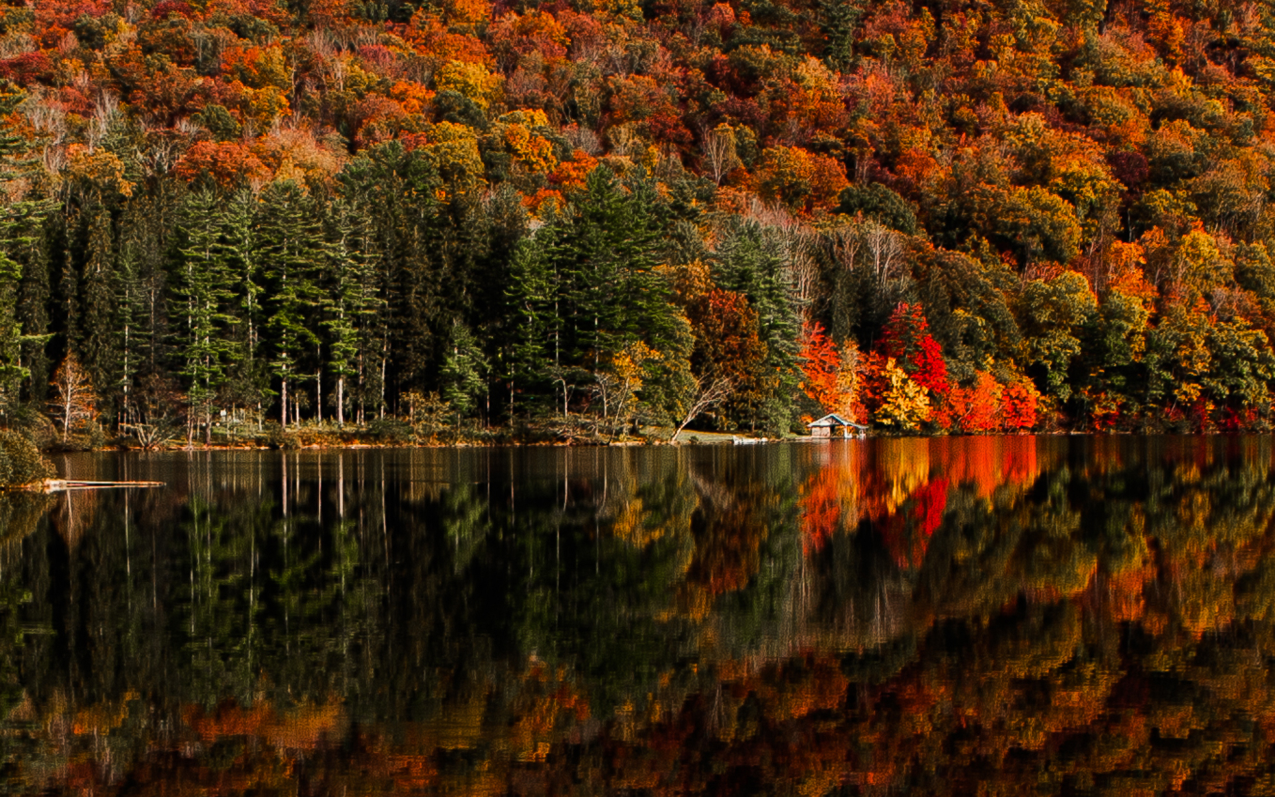 indian summer - north carolina