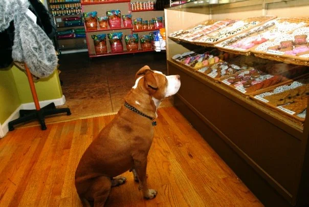 bakery.jpg