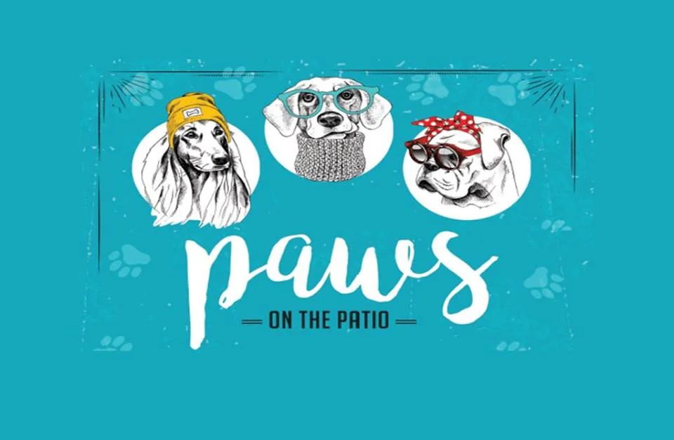 Pawsonthepatio.jpg