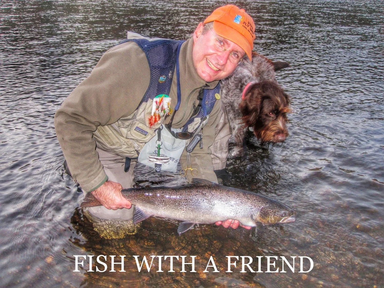 dogfish.jpg