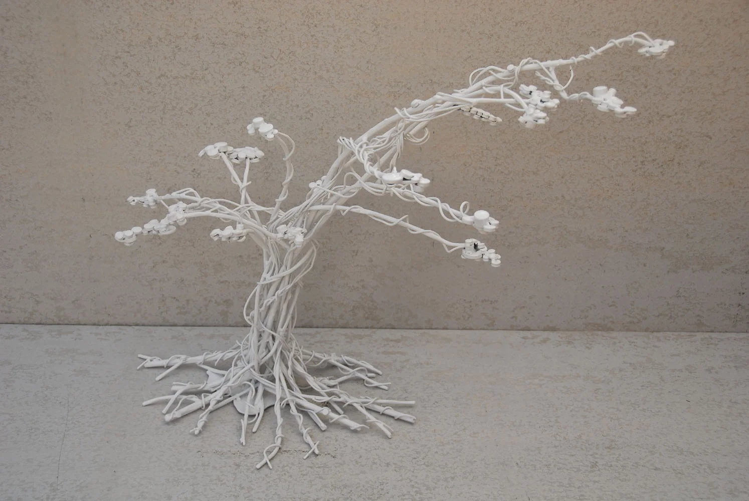 white bonsai