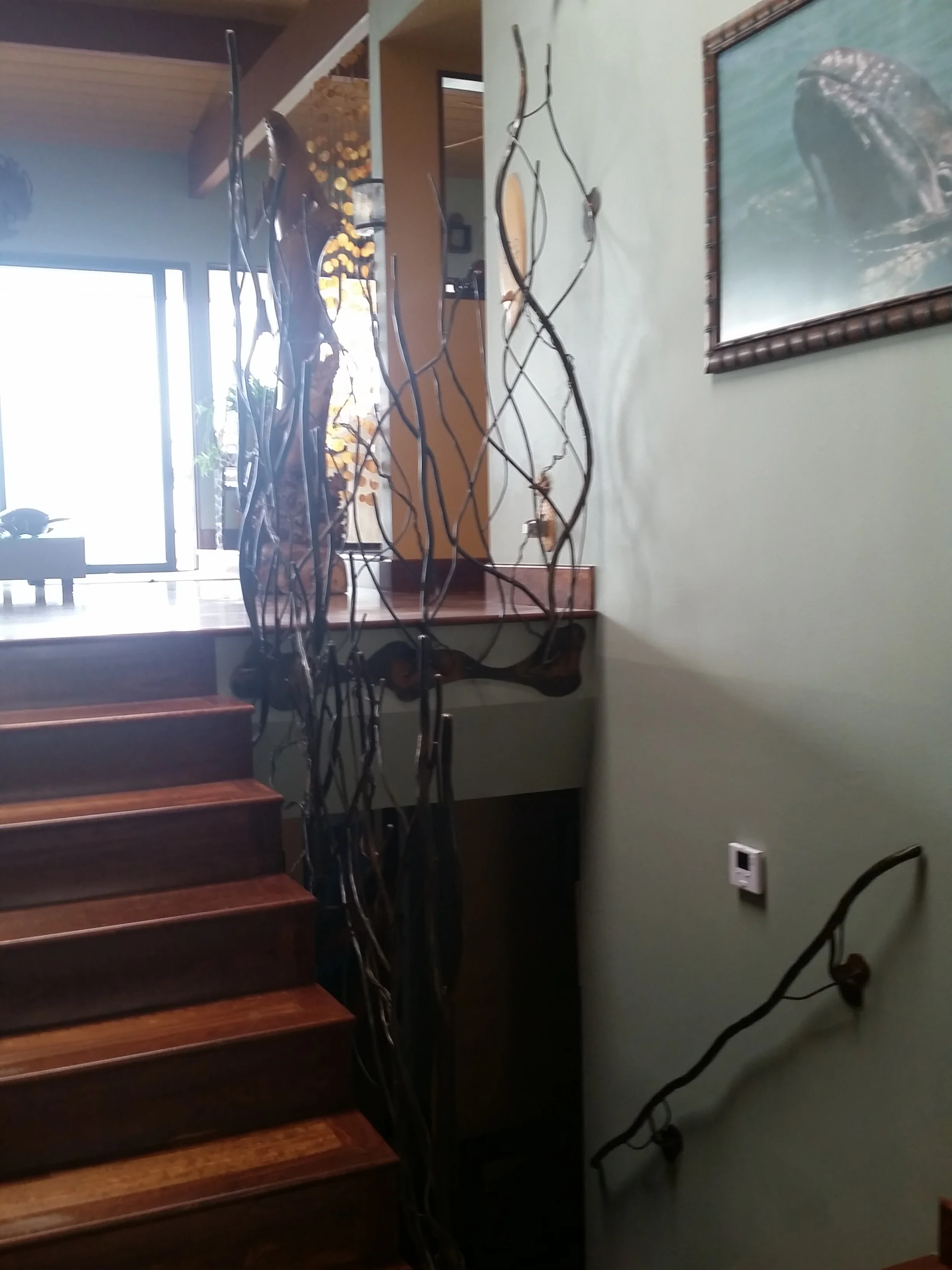 20151204_115446.jpg