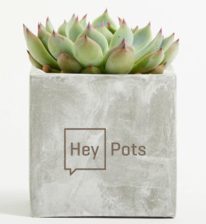 hey-pots-sizes-hype-branding---medium.png