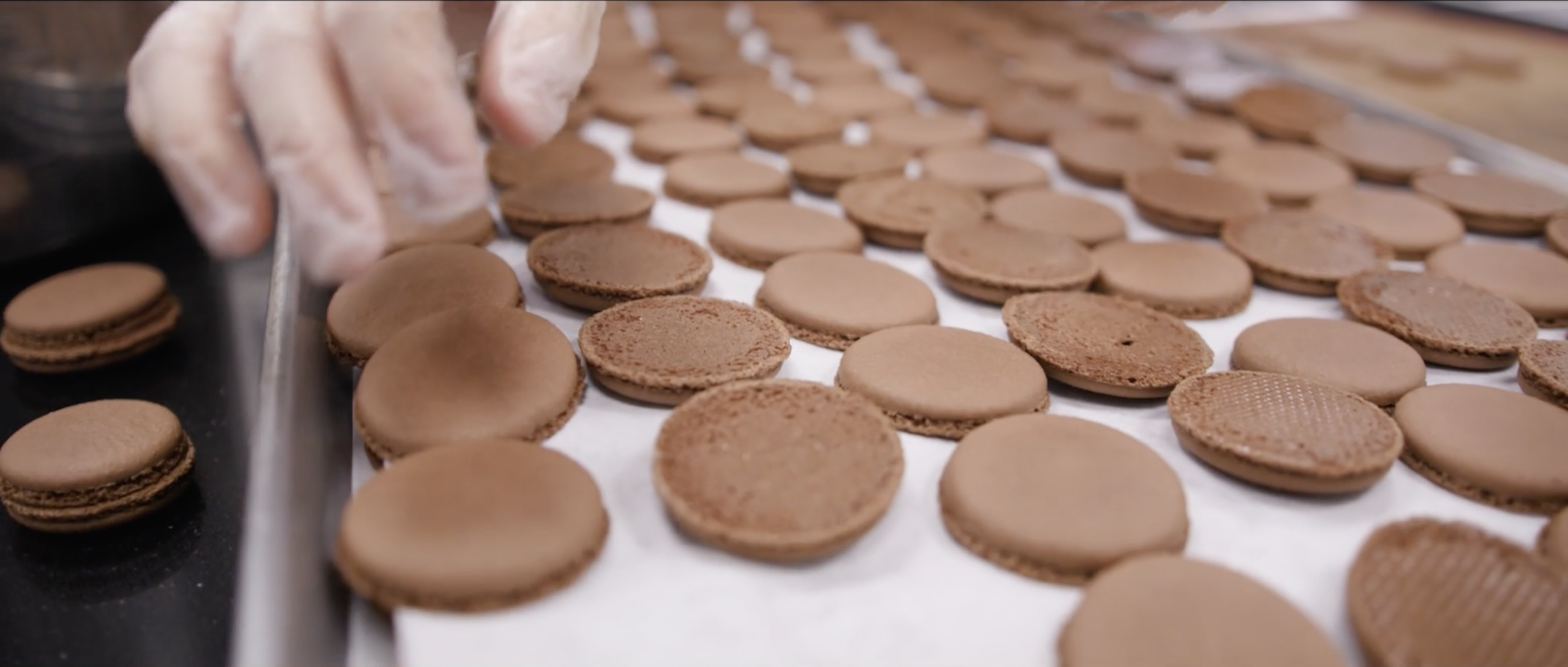 Screen Shot 2022-04-11 at 10.11.00 AM.png